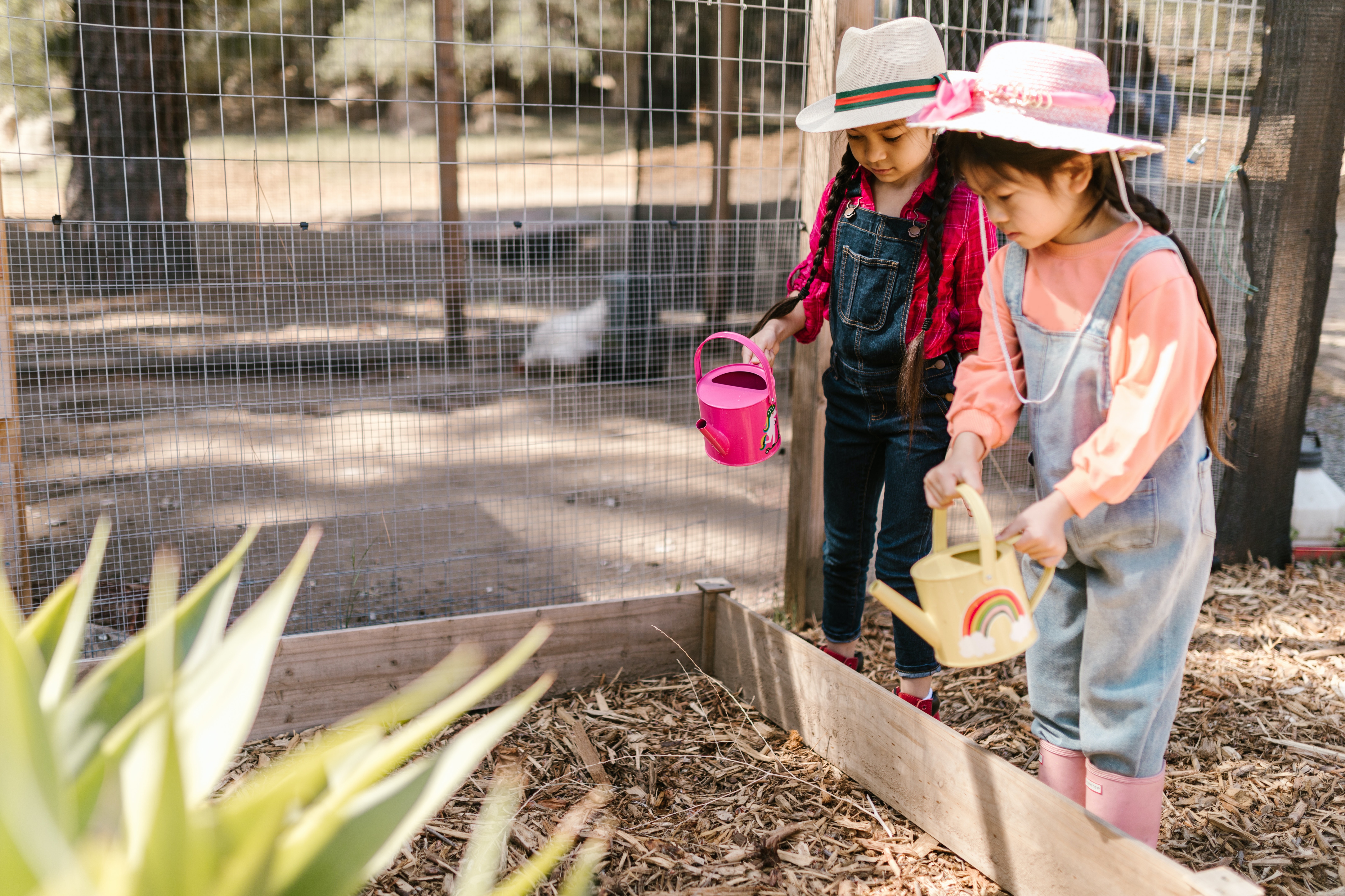 School Gardens Linked With Kids Eating More Vegetables